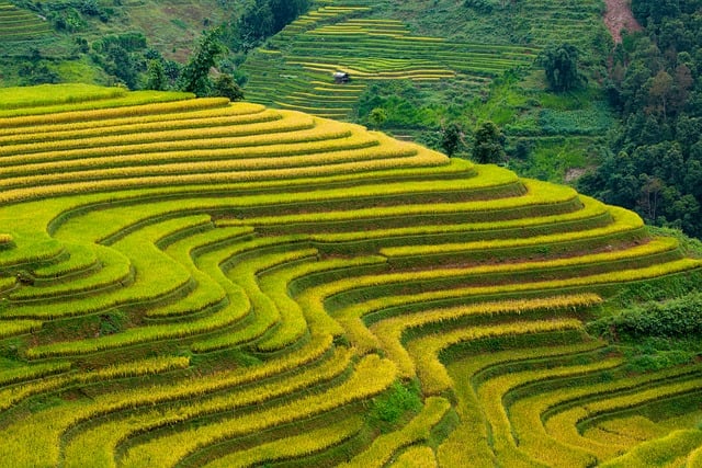 Forårsrengøring: Derfor skal du huske algerens på terrassen